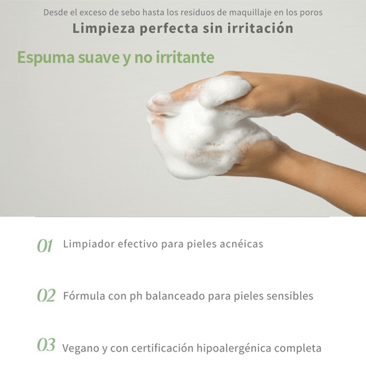 DermaShare Vegan Tea Tree Acne pH Balance Foam Cleanser