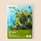 Ricocell Nature Recovery Mask Pack Sea Weed 23g (Pack 10pcs)